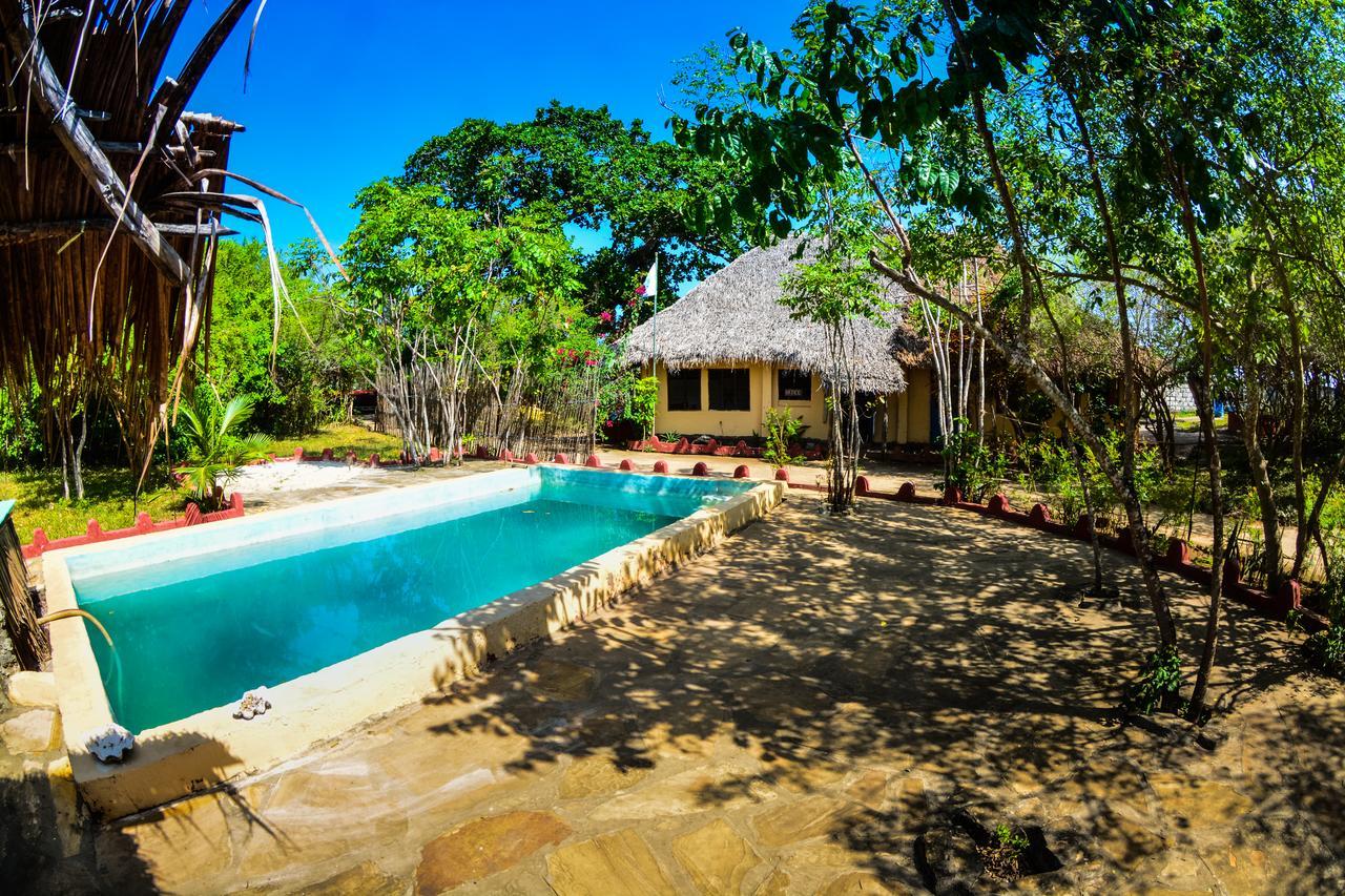Gecko Nature Lodge Home Of Swahili Divers The Best Dive Center And Famous Gecko Restaurant Verani Εξωτερικό φωτογραφία