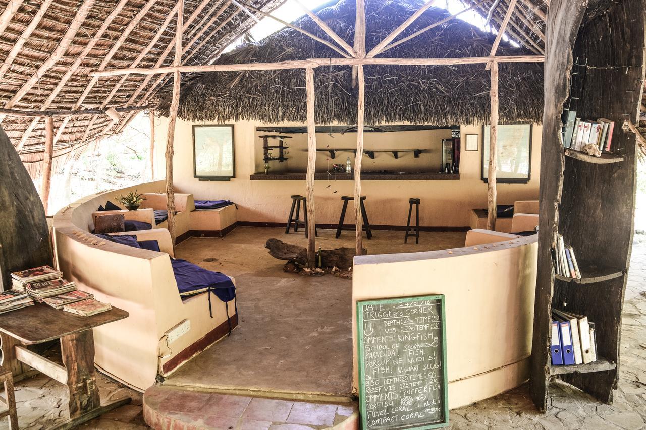 Gecko Nature Lodge Home Of Swahili Divers The Best Dive Center And Famous Gecko Restaurant Verani Εξωτερικό φωτογραφία