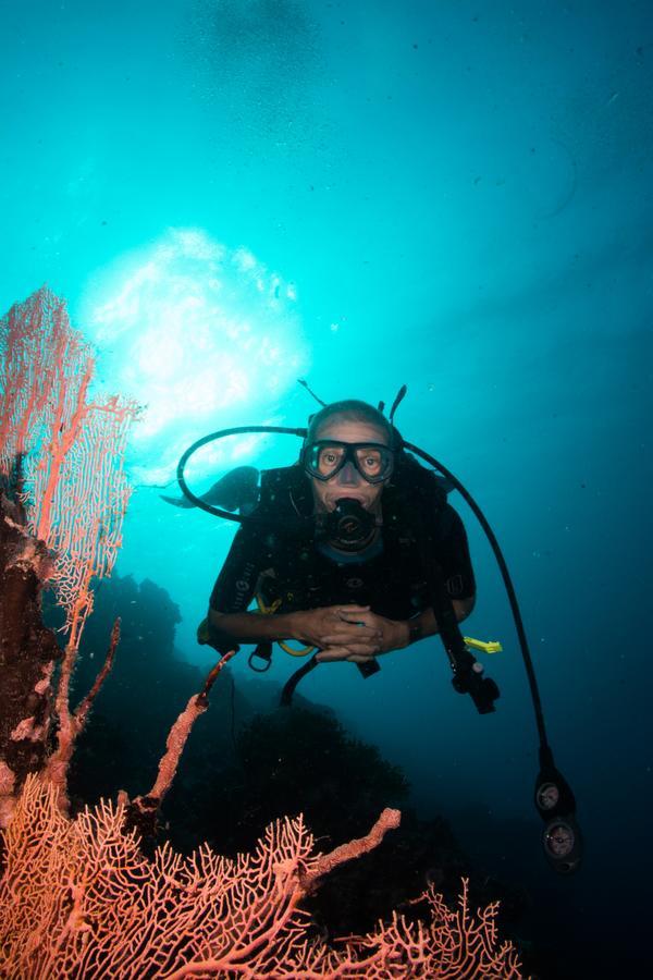 Gecko Nature Lodge Home Of Swahili Divers The Best Dive Center And Famous Gecko Restaurant Verani Εξωτερικό φωτογραφία
