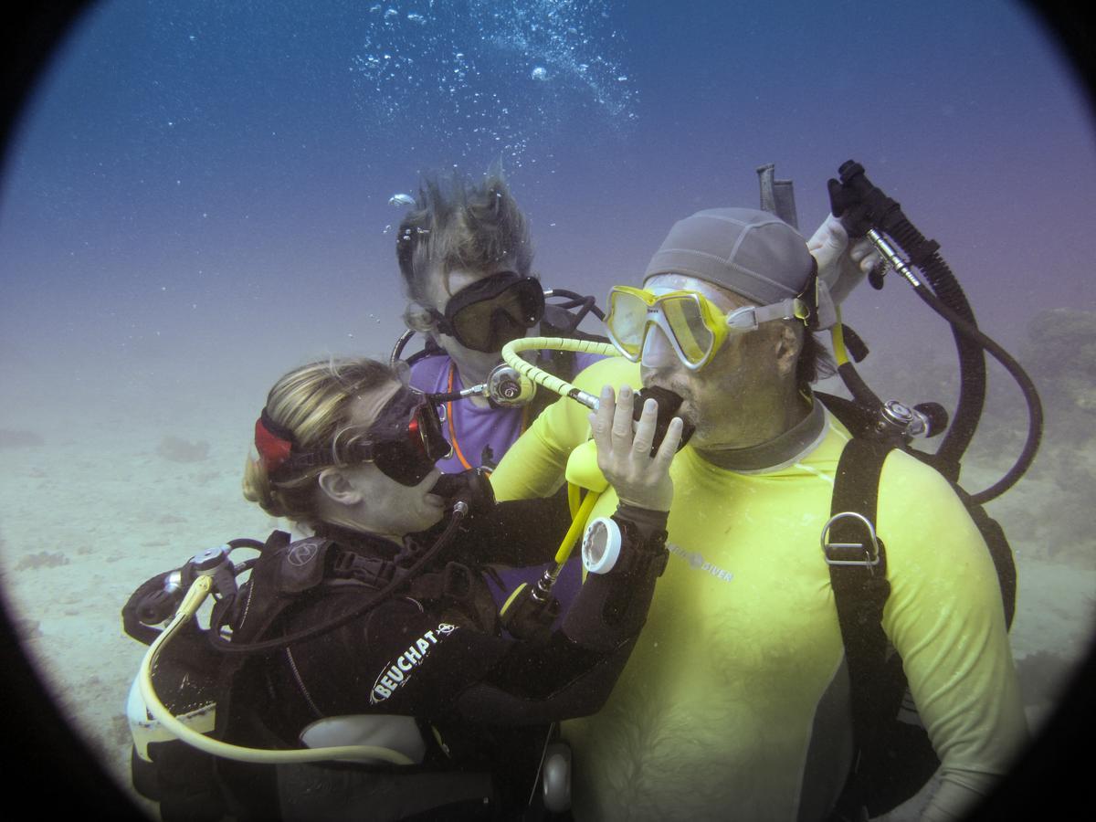 Gecko Nature Lodge Home Of Swahili Divers The Best Dive Center And Famous Gecko Restaurant Verani Εξωτερικό φωτογραφία