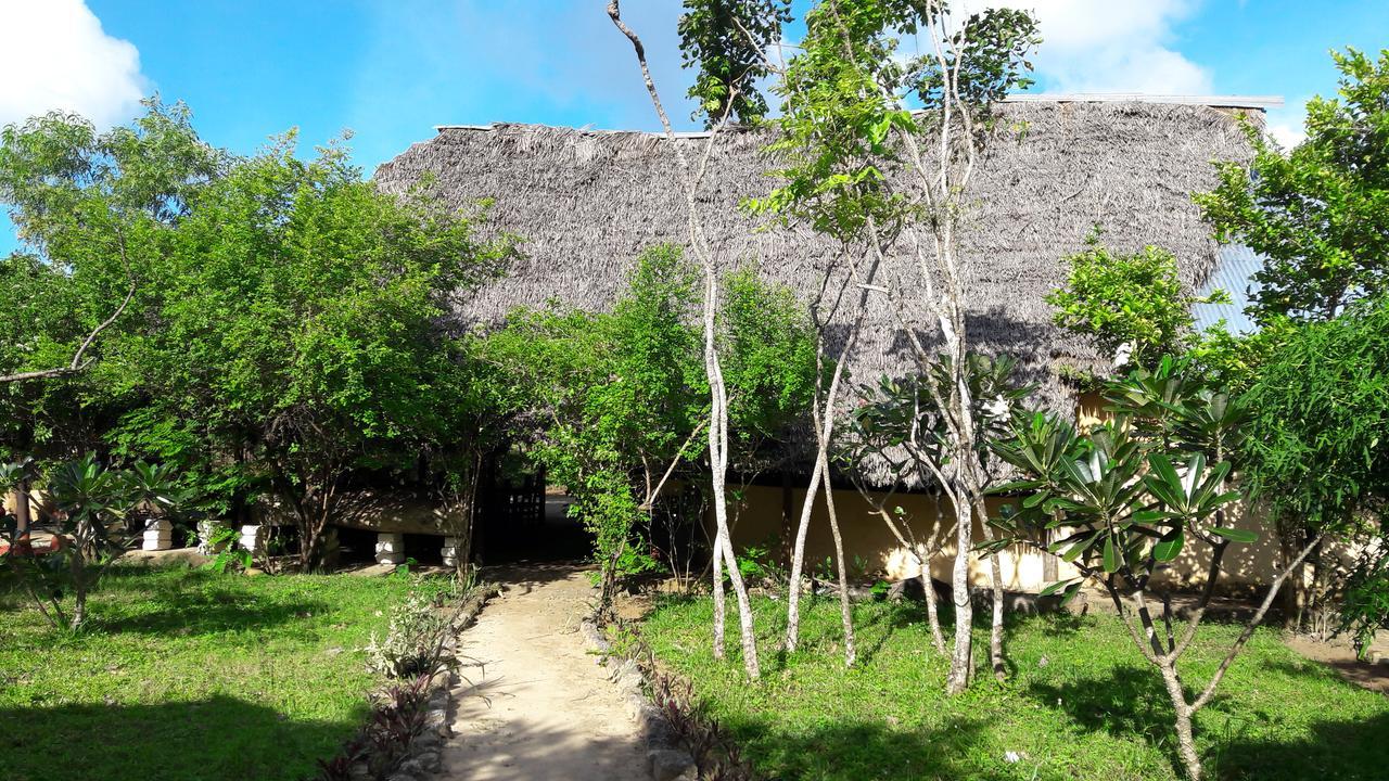 Gecko Nature Lodge Home Of Swahili Divers The Best Dive Center And Famous Gecko Restaurant Verani Εξωτερικό φωτογραφία