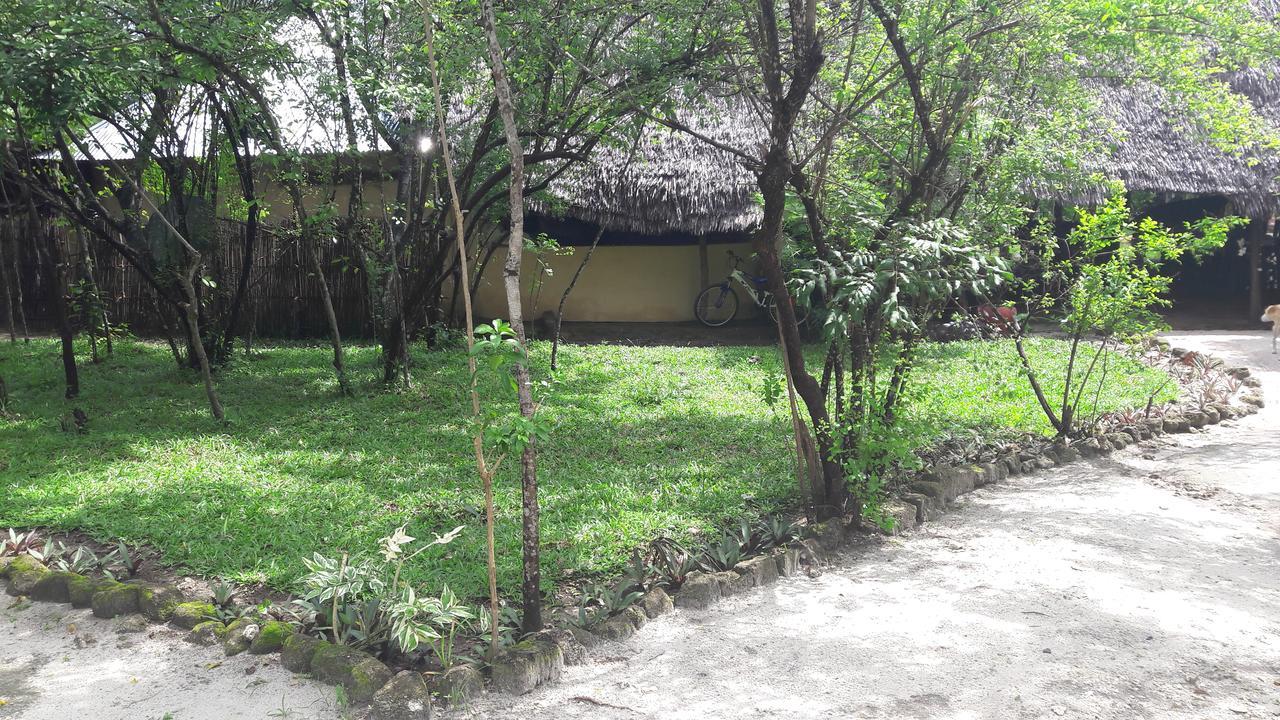 Gecko Nature Lodge Home Of Swahili Divers The Best Dive Center And Famous Gecko Restaurant Verani Εξωτερικό φωτογραφία